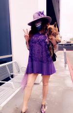 PHOEBE PRICE All in Purple Out with her Dog in Beverly Hills 05/18/2020
