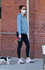 Pregnant HILARY RHODA Out and About in New York 05/21/2020