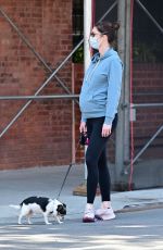 Pregnant HILARY RHODA Out and About in New York 05/21/2020