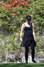 Pregnant KATHERINE SCHWARZENEGGER Out in Brentwood 05/03/2020