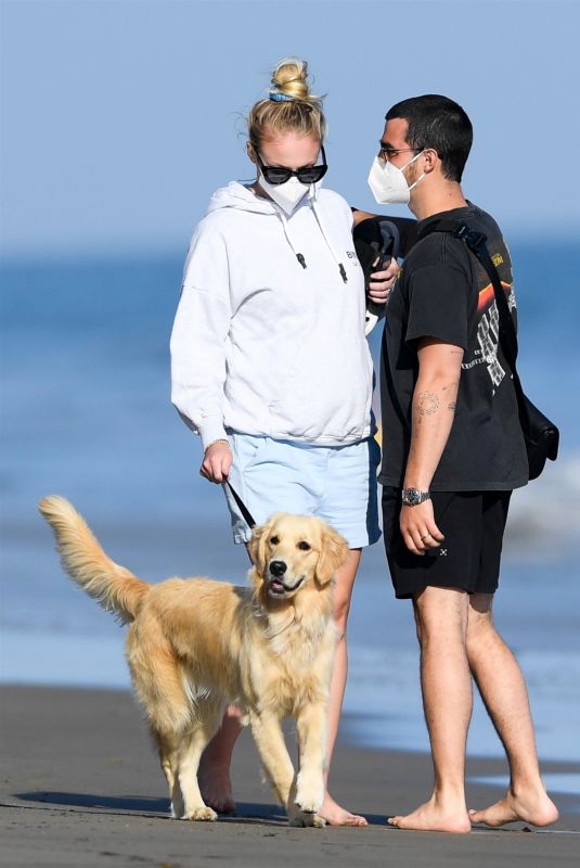 Pregnant SOPHIE TURNER and Joe Jonas Out with Their Dog at a Beach in Santa Barbara 05/25/2020