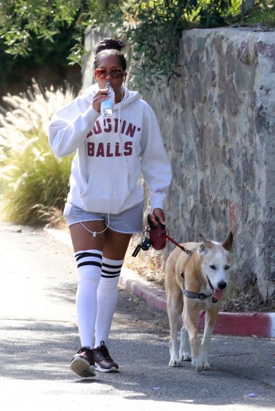 REGINA KING Out with Her Dog in Los Feliz 05/29/2020