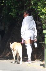 REGINA KING Out with Her Dog in Los Feliz 05/29/2020