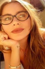 SOFIA VERGARA in Swimsuit - Instagram Photos 05/24/2020