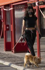 THYLANE BLONDEAU Out with her Dog in Saint-tropez 05/11/2020