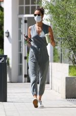 ALESSANDRA AMBROSIO Out and About in Malibu 06/25/2020