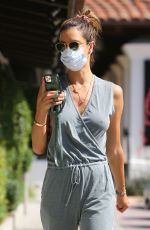 ALESSANDRA AMBROSIO Out and About in Malibu 06/25/2020