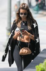 ALESSANDRA AMBROSIO Out and About in Santa Monica 06/22/2020