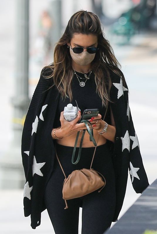 ALESSANDRA AMBROSIO Out and About in Santa Monica 06/22/2020