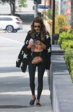 ALESSANDRA AMBROSIO Out and About in Santa Monica 06/22/2020