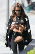 ALESSANDRA AMBROSIO Out and About in Santa Monica 06/22/2020