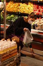 ALESSANDRA AMBROSIO Out Shopping in Los Angeles 06/20/2020