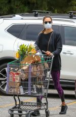 ALESSANDRA AMBROSIO Out Shopping in Los Angeles 06/20/2020
