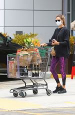 ALESSANDRA AMBROSIO Out Shopping in Los Angeles 06/20/2020