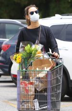 ALESSANDRA AMBROSIO Out Shopping in Los Angeles 06/20/2020