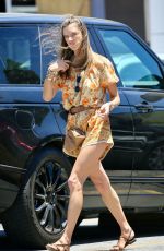ALESSANDRA AMBROSIO Out Shopping in Santa Monica 06/09/2020
