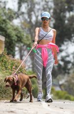ALESSANDRA AMBROSIO Out with Her Dog in Pacific Palisades 06/02/2020