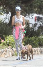 ALESSANDRA AMBROSIO Out with Her Dog in Pacific Palisades 06/02/2020