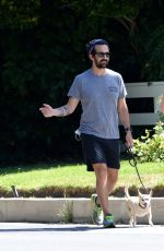 ALICIA SILVERSTONE Out Walks Her Dog in Los Angeles 06/14/2020