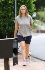 ALICIA SOLVERSTONE in Shorts Out with Her Dogs in Los Angeles 06/17/2020