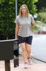 ALICIA SOLVERSTONE in Shorts Out with Her Dogs in Los Angeles 06/17/2020
