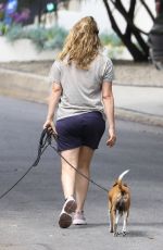 ALICIA SOLVERSTONE in Shorts Out with Her Dogs in Los Angeles 06/17/2020