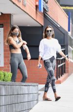 ALLESANDRA AMBROSIO at a Gym in Hollywood 06/19/2020