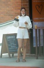 AMELIA HAMLIN Out for Lunch in Beverly Hills 06/24/2020