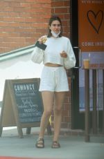 AMELIA HAMLIN Out for Lunch in Beverly Hills 06/24/2020
