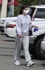 AMELIA HAMLIN Out Shopping in Studio City 06/06/2020