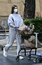 AMELIA HAMLIN Out Shopping in Studio City 06/06/2020