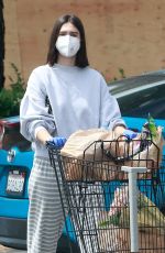 AMELIA HAMLIN Out Shopping in Studio City 06/06/2020