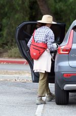 ANDIE MACDOWELL Out Hiking with Her Dogs in Los Angeles 06/11/2020