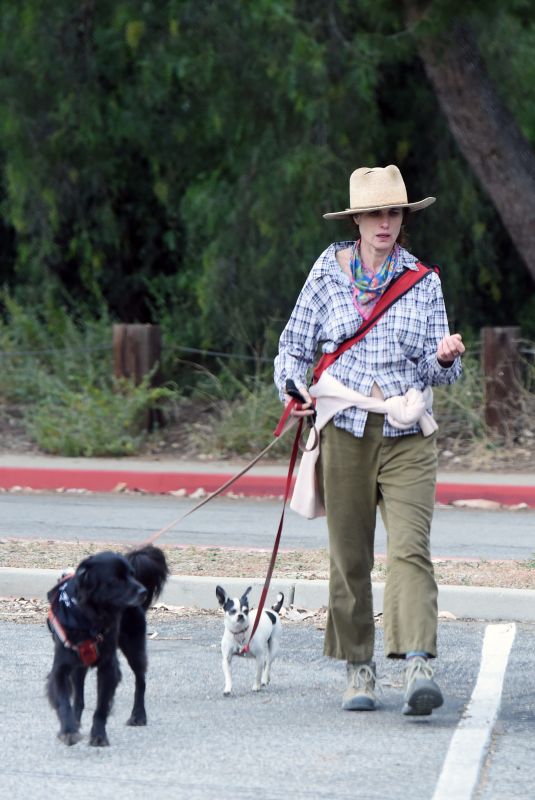 ANDIE MACDOWELL Out Hiking with Her Dogs in Los Angeles 06/11/2020
