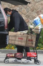 APRIL LOVE GEARY Out Shopping in Malibu 06/18/2020
