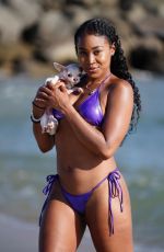 ARIANE ANDREW aka CAMERON from WWE Divas in Bikini at a Beach in Santa Monica 06/10/2020