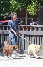 AUBREY PLAZA Out with Her Dogs in Los Feliz 06/14/2020