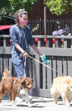 AUBREY PLAZA Out with Her Dogs in Los Feliz 06/14/2020