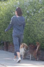 AUBREY PLAZA Out with Her Dogs in Los Feliz 06/14/2020