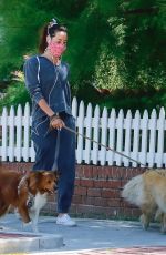 AUBREY PLAZA Out with Her Dogs in Los Feliz 06/14/2020
