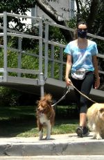 AUBREY PLAZA Walks Her Dogs in Los Feliz 06/27/2020