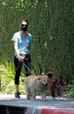 AUBREY PLAZA Walks Her Dogs in Los Feliz 06/27/2020