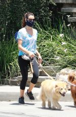 AUBREY PLAZA Walks Her Dogs in Los Feliz 06/27/2020