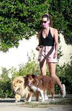 AUBREY PLAZA Walks Her Dogs Out in Los Feliz 06/10/2020