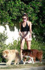 AUBREY PLAZA Walks Her Dogs Out in Los Feliz 06/10/2020