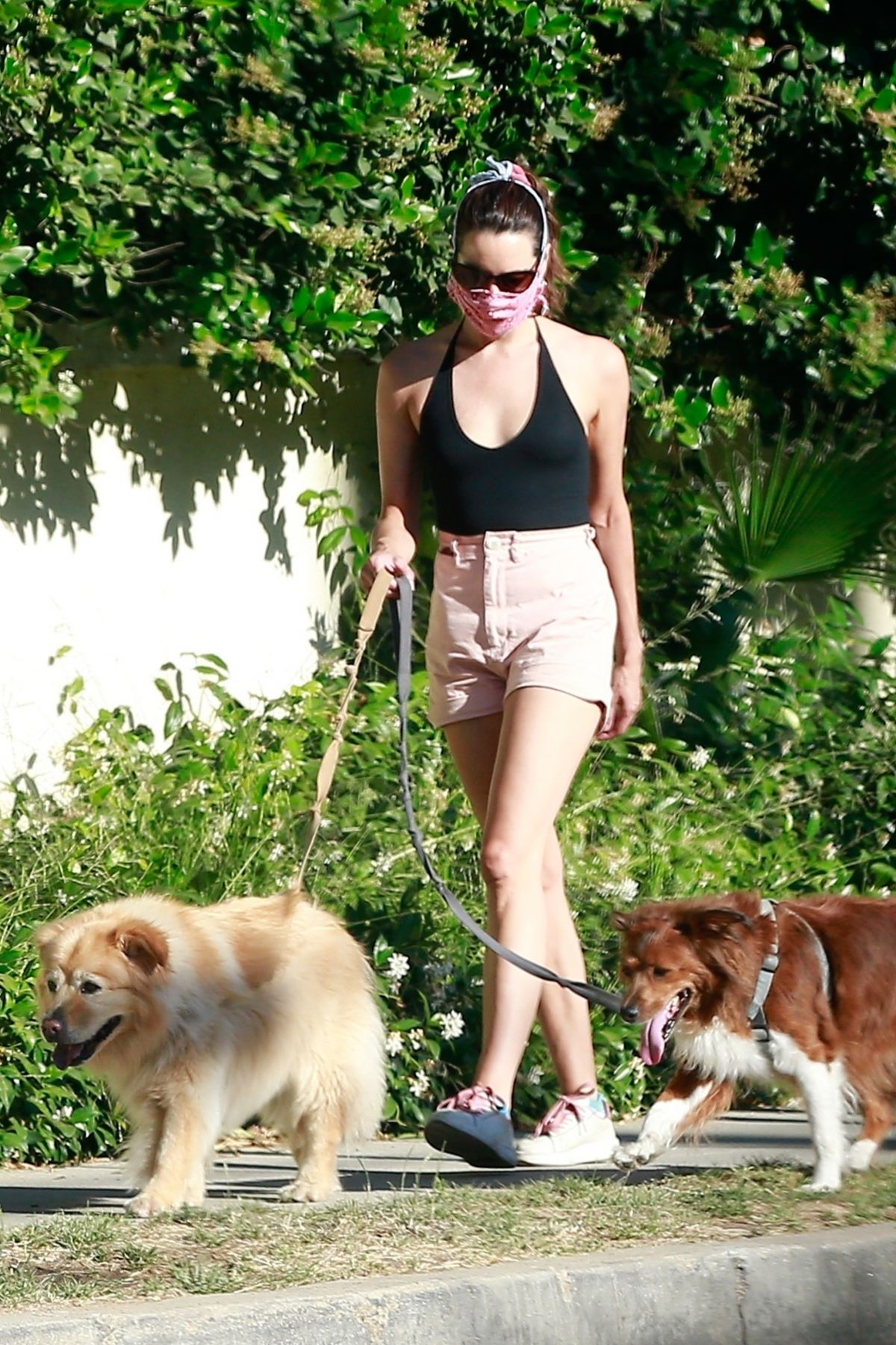 AUBREY PLAZA Walks Her Dogs Out in Los Feliz 06/10/2020 – HawtCelebs