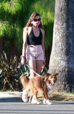 AUBREY PLAZA Walks Her Dogs Out in Los Feliz 06/10/2020