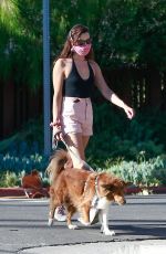 AUBREY PLAZA Walks Her Dogs Out in Los Feliz 06/10/2020