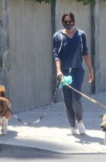 AUBREY PLAZA Walks Her Dogs Out in Los Feliz 06/13/2020