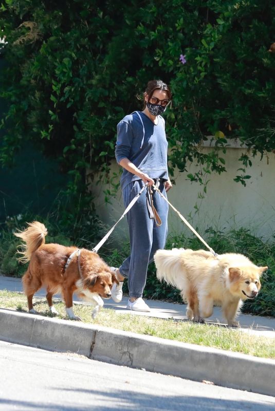 AUBREY PLAZA Walks Her Dogs Out in Los Feliz 06/13/2020